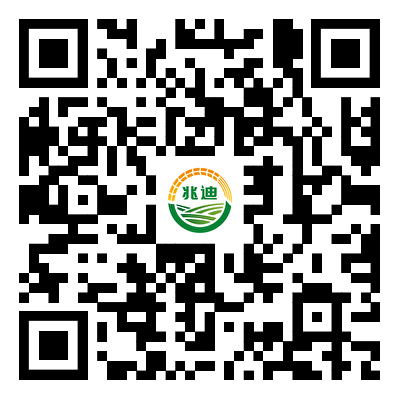 orange橘子平台·(中国区)官方网站